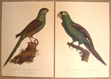 Parrot prints limited for sale  Fort Lauderdale