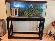 Galón fish tank for sale  Tucson