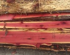 Red cedar live for sale  New London