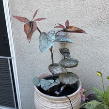 Vtg copper metal for sale  Ripon