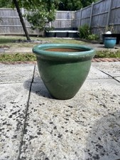 Green ceramic plant for sale  HITCHIN