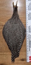 Sattelbalg grizzly hoffmans gebraucht kaufen  Möckmühl
