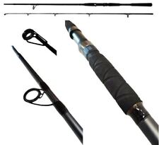 Daiwa seahunter angelrute gebraucht kaufen  Deutschland