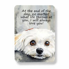 Maltese dog magnet for sale  Cleveland