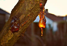 100% resinas de árvore incenso, mirra, benjoim... 48 opções, 6 tamanhos: 25g - 500g, usado comprar usado 100% resinas de árvore incenso, mirra, benjoim... 48 opções, 6 tamanhos: 25g - 500g, usado comprar usado  Enviando para Brazil