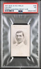 Wills prominent australian for sale Wills prominent australian for sale  LLANRWST