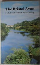 Bristol avon fish for sale Bristol avon fish for sale  CARLISLE