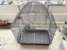 Großer vogelkäfig käfigstä gebraucht kaufen  Stuttgart