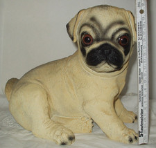 Mops welpe sitzend gebraucht kaufen  Braunschweig