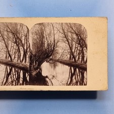 Stereoview card c1865 for sale  TELFORD