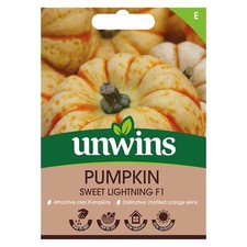 Unwins vegetable pumpkin for sale  WREXHAM