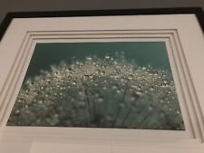 Floral framed photography for sale  Natick