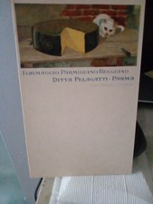 Pelagatti parmigiano reggiano usato  Torino
