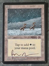 Mtg magic beta usato  Italia