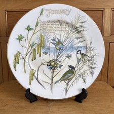 Caverswall china wall for sale  FAREHAM