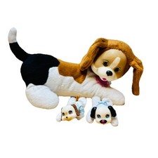 Puppy surprise misty for sale  Ames