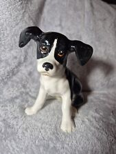 cross breed dogs for sale cross breed dogs for sale WELSHPOOL
