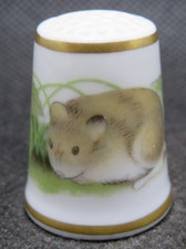 Royal worcester thimble for sale  DEESIDE