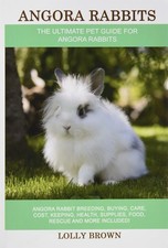 Angora rabbits angora for sale  Racine