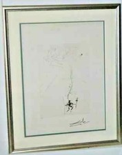 Salvador dali shakespeare gebraucht kaufen  Borken