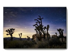 Joshua tree national for sale  Edwards