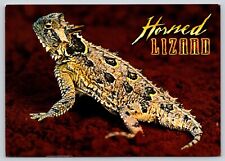 Postcard horned lizard for sale  Wynantskill