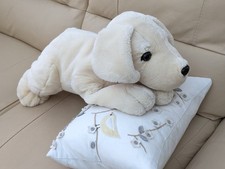 Keel labrador cream for sale  BEDFORD