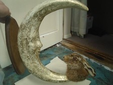 wall sculpture for sale wall sculpture for sale NORWICH