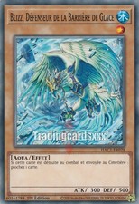Blizz défenseur barrière d'occasion  Argenteuil