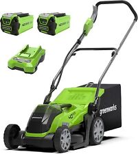 Greenworks akku rasenmäher gebraucht kaufen  Wetzlar