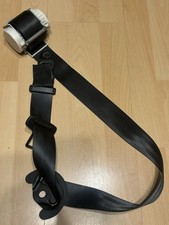 Riginal transporter gurt gebraucht kaufen  Breisach am Rhein