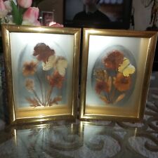 Pair vintage dried for sale  Cocoa