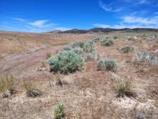 Gold mining claims for sale  Winnemucca