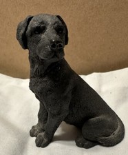 Black labrador retreiver for sale  Palos Park