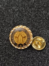 Pin pins pin d'occasion  France