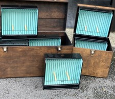 Coloured canary show for sale  WALSALL