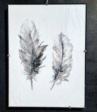 Quadro classico- Composizione ad acquerello in cornice "Due piume" comprar usado  Enviando para Brazil