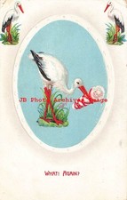 Stork getting ready for sale  USA