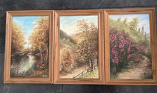 Bilder natur landschaft gebraucht kaufen  Brühl