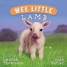 Wee little lamb for sale  Aurora