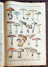 Petit journal 1896 d'occasion  Vesoul