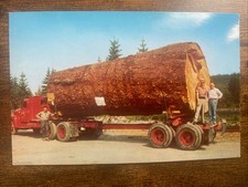 Giant fir log for sale  Henrico