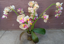 Rchidee phalaenopsis kunstorch gebraucht kaufen  Braunschweig