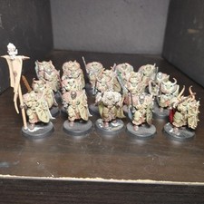 Painted chaos warriors for sale  Chesapeake