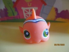 Petshop poisson clown d'occasion  Saint-Omer