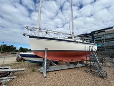 Freedom sailing boat for sale  EASTBOURNE