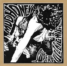 Mudhoney superfuzz bigmuff gebraucht kaufen  Hemmoor