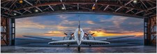 Peter lik first for sale  Las Vegas
