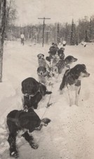 1920 dog sled for sale  Mission