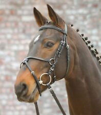 Bridle anglais muserolle d'occasion  Expédié en France